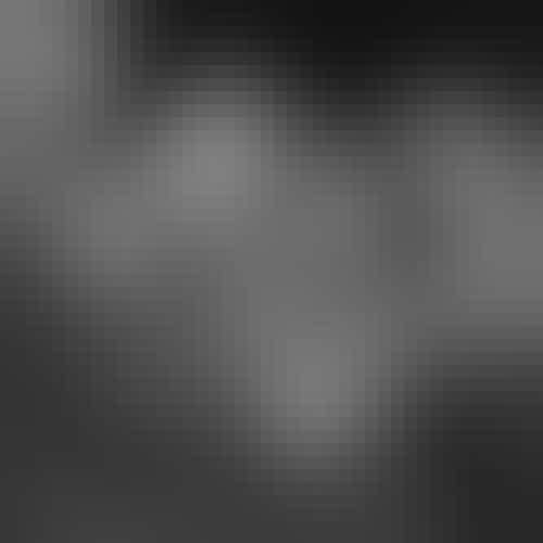 Bryan Ledgard, CC BY 2.0, via Wikimedia Commons The Dixie Hummingbirds