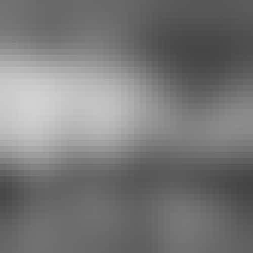 rosier, CC BY-SA 3.0, via Wikimedia Commons Linda Tillery & the Cultural Heritage Choir