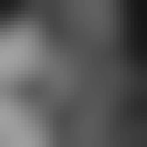 Gerbren at English Wikipedia, CC BY-SA 3.0, via Wikimedia Commons The Sensational Nightingales