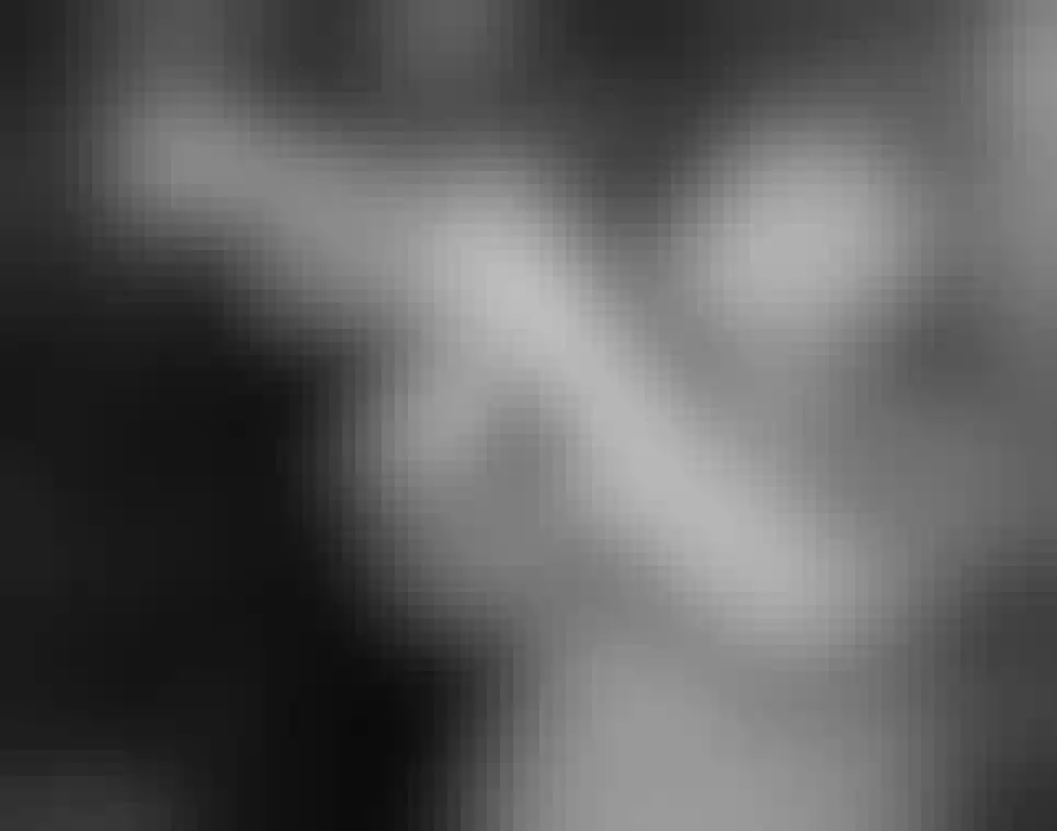 W C Handy 1949 Portrait With Trumpet