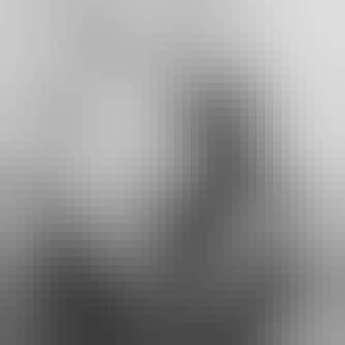 Carl Van Vechten, Public domain, via Wikimedia Commons Roland Hayes